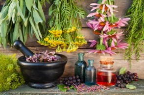 4 Powerful Herbs from Around the World