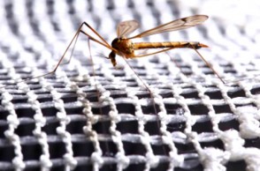 Solving Malaria Around the World