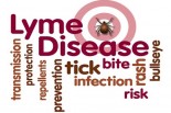 How Lyme Disease Can Disrupt Your Life