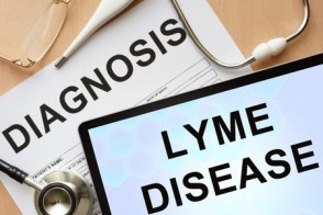 What Is Lyme Disease?