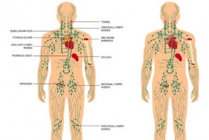 Lymphatics & Chronic Diseases