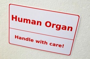 Adult Kidney Transplants: How Long Do You Have to Wait? 