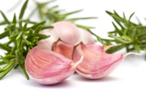 Garlic: Finding the Right Supplement for Cholesterol Control 