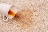 Ask Dr. Mike: Carpet in Your Home &amp; Proper Dosing of Folic Acid